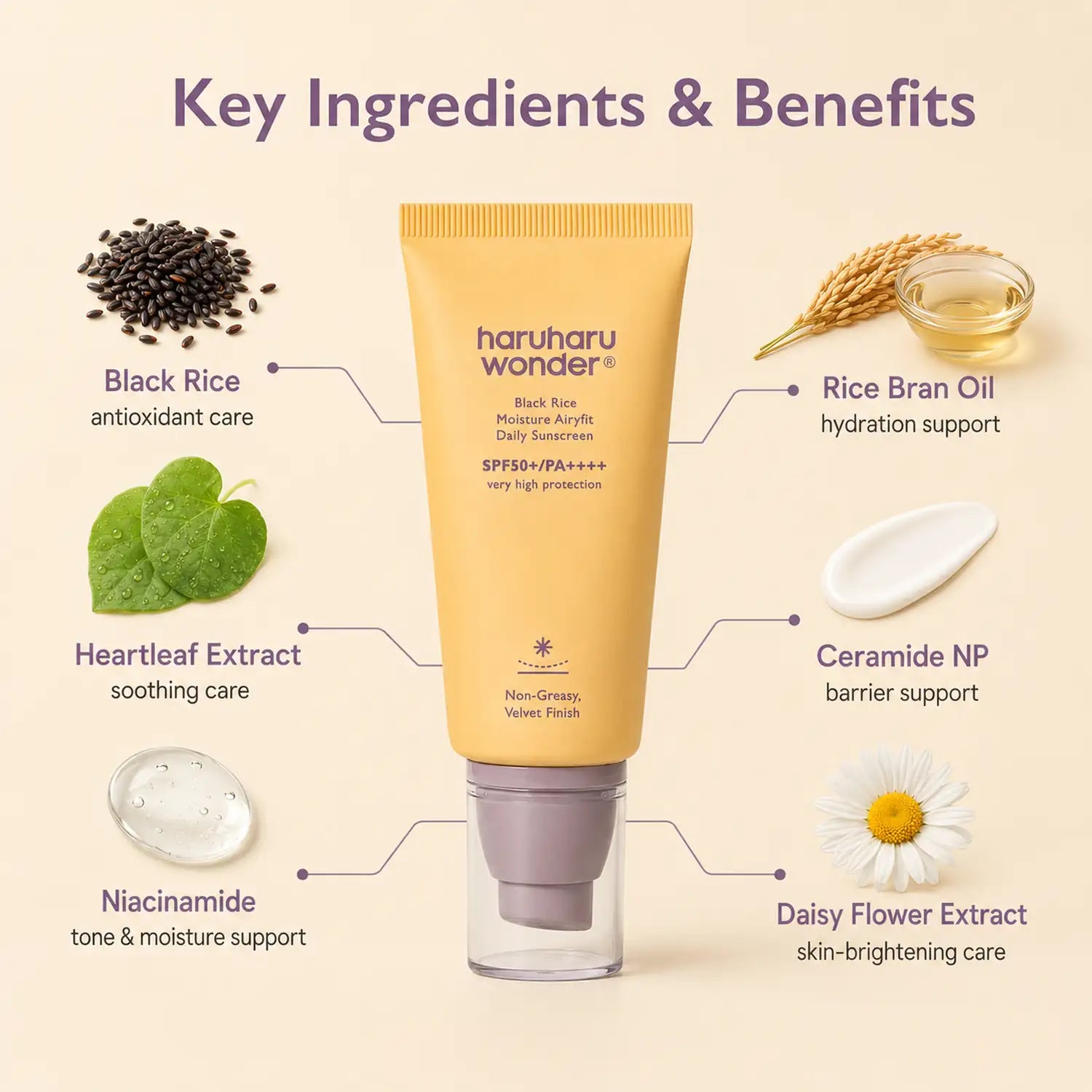 Haruharu Wonder Black Rice Moisture Airyfit Daily Sunscreen SPF50+ PA++++ 50ml
