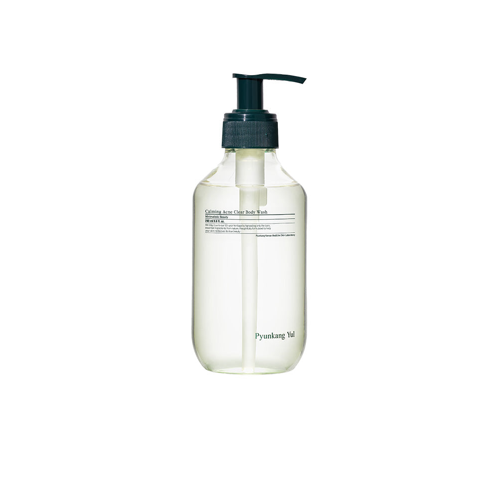 body wash lathered on sponge