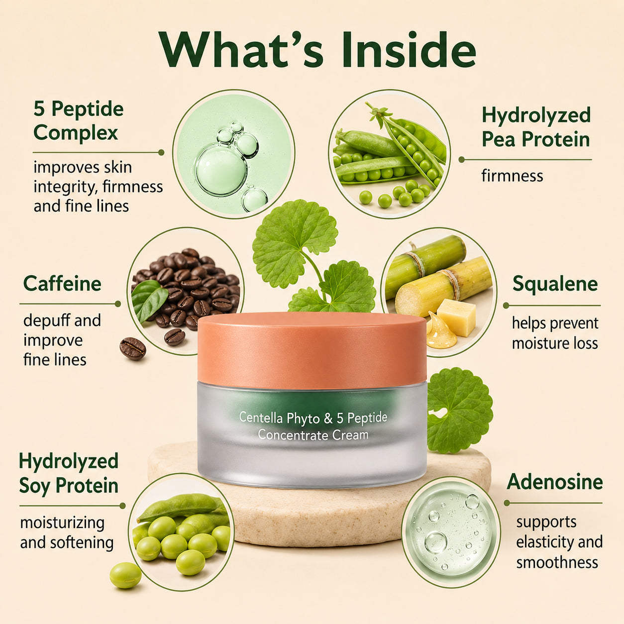 Haruharu Wonder Centella Phyto and 5 Peptide Concentrate Cream 30ml