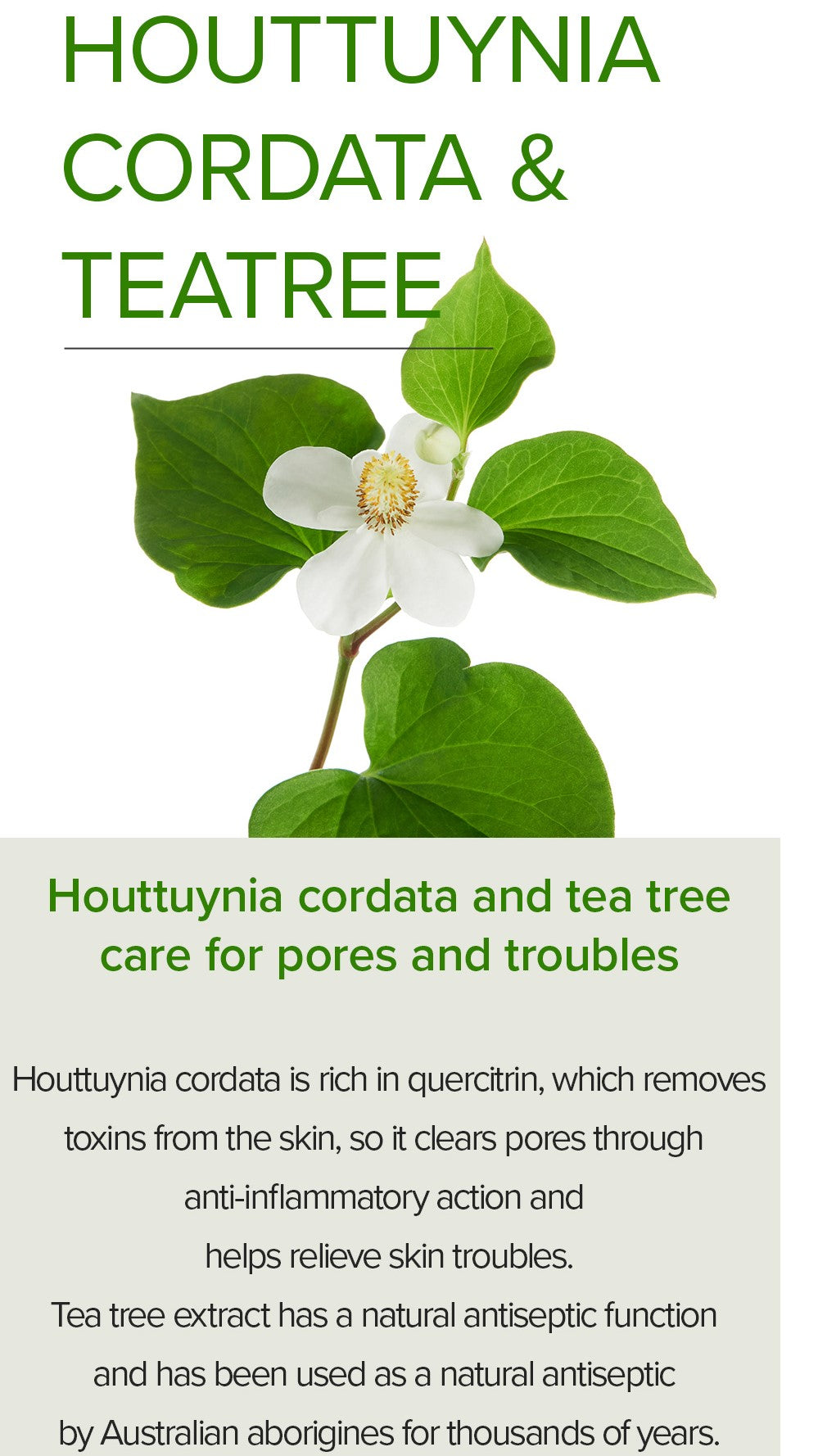 Mary&May Houttuynia Cordata +Tea Tree Serum 30ml Korean essence product image