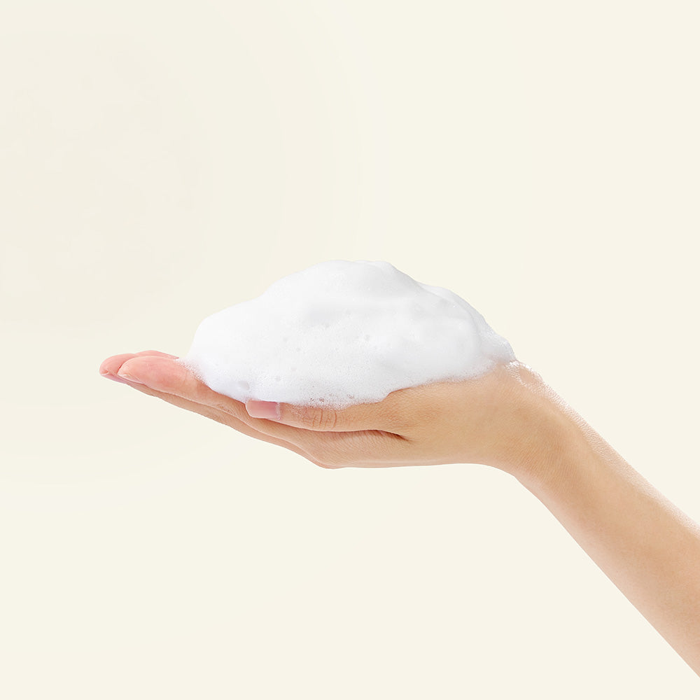 Mary&May Houttuynia Cordata + Tea Tree Cleansing Foam 150ml Korean cleanser product image