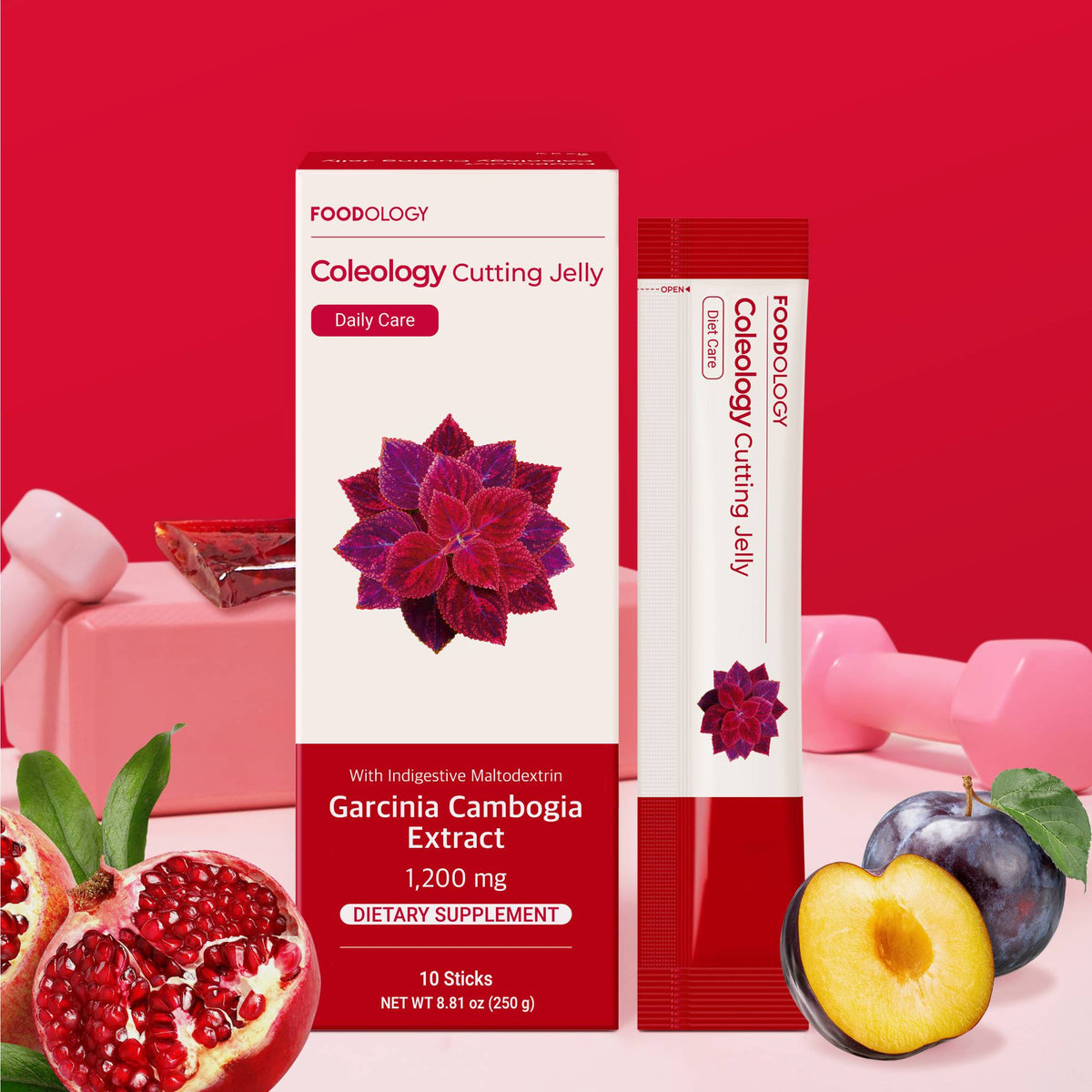 Foodology Coleology Cutting Jelly 25g x 10 Sticks